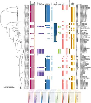 Virotyping and genetic antimicrobial susceptibility testing of porcine ETEC/STEC strains and associated plasmid types